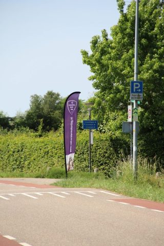 IMG_00194